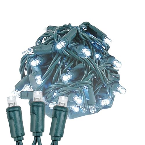 Novelty Lights 12-Pack, 50 Feet 100 LED Pure White Christmas Mini Light String on Green Wire, 5mm Wide Angle Bulbs, Connectable, Indoor/Outdoor Decor, UL Listed