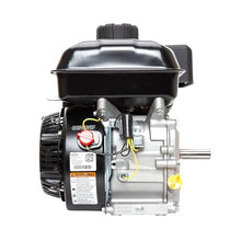Briggs and Stratton 13R232-0001-F1 Engine,Black,14.5 x 12 x 13.5 inches