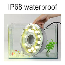 PROHEL Recessed Underwater Light - Ring Fountain Light, 12/24V Low Voltage LED Swimming Pool Light, IP68 Waterproof Middle Hole Landscape Light, for Fountain Pool, Underwater, Pond(Red,24V-12W)