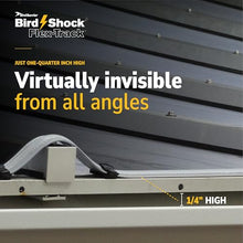 Bird Shock Flex-Track Complete Starter Kit | Low-Profile Bird Deterrent System | Humane Avian Control Track | Pigeon Spike Alternative | Long-Term Exclusion | Plug-in Grey