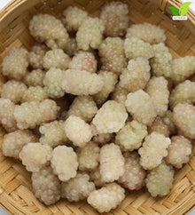 Votaniki Snowbank White BlackBerry 2 to 3 Ft Live Plant Rubus Hybrid Milky White Sweet Fruit Self Fertile Berry Bush for Home Gardens Trellis Growing and Backyard Orchards
