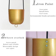 WANGKENSU Hanging Planter Indoor Plant Hanging Planter Pot Modern Flower Pot Home Decor Hanging Plant Planter Metal Plant Vase with Hooks Suitable for Indoor and Outdoor Plants (Color : 1) (1)