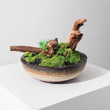 Artificial Bonsai Tree Simulazione Cinese Piante Verdi Di Muschio Decorazioni in Vaso Per Interni Soggiorno Studio Decorazioni Per Ufficio Office Decoration Bonsai