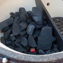 Primo Large 7500 Charcoal Grill Black
