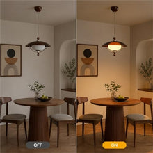THJS8 Retro Sector Pendant Light Fixture, Brown Acrylic with Cream Globe