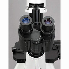 AmScope IN300T Inverted Trinocular Microscope 40x-400x