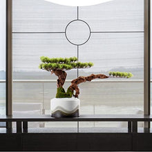 Small Bonsai Tree Artificial Bonsai Tree Green Plant Bonsai Bonsai Home Garden Living Room Decoration Plant Bonsai Garden Table Decoration Fake Bonsai Fake Plants