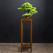 YXIANG56Q Fake Plants Indoor Fake Tree Potted Plant Ornaments Desktop Jewelry Entrance Decoration Simulation Tree Decoration High-Grade Artificial Bonsai Bonsai Tree