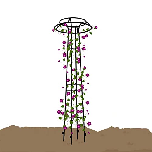 SDdPulse Large Garden Obelisk Climbing Plant Support Frame, Outdoor PatioGarden Arbor for Various Climbing Plant Lawn Backyard, 55 * 205cm