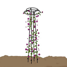 SDdPulse Large Garden Obelisk Climbing Plant Support Frame, Outdoor PatioGarden Arbor for Various Climbing Plant Lawn Backyard, 55 * 205cm