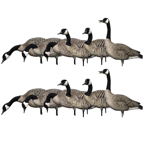 Avian-X AXP Honkers Fusion Pack Full Body Canada Goose Decoys Silver