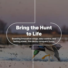 Avian-X Powerflight Smart Motion Mallard Spinning Wing Duck Decoy 3 Pack Multicolor