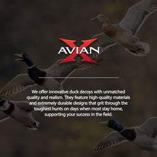 Avian-X Topflight Early Season Teal & AXP Honkers Fusion Canada Goose Decoy Set 6 Pack
