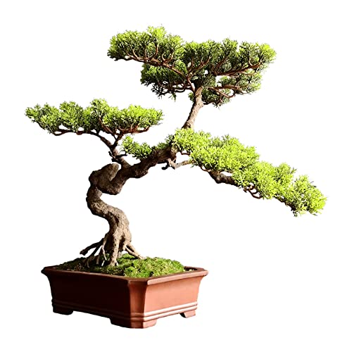 Fake Plants Artificial Bonsai Tree Faux Tree Bonsai Pine Tree Bonsai with Red Ceramic Pot Indoor Decoration House Plant for Desktop Home Decor Bonsai Tree