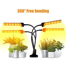 1-4 Heads Grow Light for Indoor Plants, Clip on Plant Growing Lamp, 3/9/12 Timer, 360° Adjustable Gooseneck, 5 Segment Dimming Mode, 3 mo