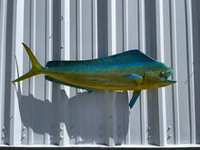 Mount This Fish Company 37" Cow Dolphin Full Mount Fish Replica Wall Decor
