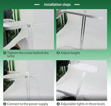 YAFODUTE Hydroponics Growing System Kit Indoor Garden Kit Desktop Grow Lights for Indoor Plants for Home Kitchen Gardening
