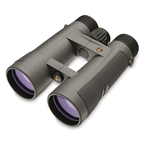 Leupold BX-4 Pro Guide HD 12x50mm Binoculars Gray