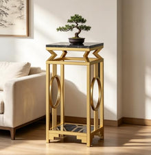 Plant Stand Indoor Outdoor 2-Tier,Metal Plant Shelf for Multiple Plants