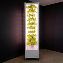 10 Layers 360° Full-Spectrum Lighs Hydroponic Growing Kit, Mobile Tower Garden with Automatic Water Circulation System, Vertical Indoor Hydroponics System, Easy-to-Use