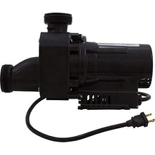 Pump, Bath, BWG Gemini Plus II VS, 1.5hp, 115v, 1-1/2", OEM