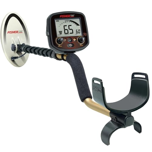 Fisher F19 Metal Detector with 10-Inch Waterproof DD Searchcoil