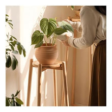 WOAITIANTIAN Vase Stand Wooden Plant Display Stand Tall Planter Floor Pot Indoor Holder Flower Bonsai Decoration(Large)