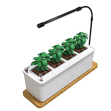 Home Indoor Kitchen Garden Hydroponics Growing System Smart LED Grow Light Kit for Both Outdoor & Indoor Plants & Gardening Kits for Home Kitchen