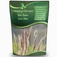 Outsidepride Perennial Northeast Native Grass Seed Mix - 25 lbs. Cold & Drought-Tolerant Warm & Cool Season Prairie Grass Seeds for Xeriscaping, Erosion Control, Wildlife Support, & Pollinator Habitat