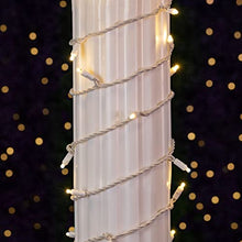Novelty Lights 24-Pack 25 Feet 50 Light Warm White LED Christmas Lights White Wire, Connectable Mini String, Indoor/Outdoor, Commercial Grade, UL Listed
