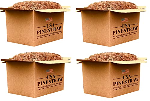 Long Needle Pine Straw Mulch - 100 Sqft Coverage 4 Set - Premium USA Harvested PineStraw for Landscaping, Weed Control, Moisture Retention & Erosion Control - USA Pinestraw