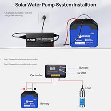 ECO-WORTHY 12V Stainless Steel Deep Well Pump Submersible Pump Kit with 12V 100Ah Lithium Battery, 20A Battery Charger, 20A Charge Controller for Well, Farm & Ranch Irrigation,Water Tank,Industrial