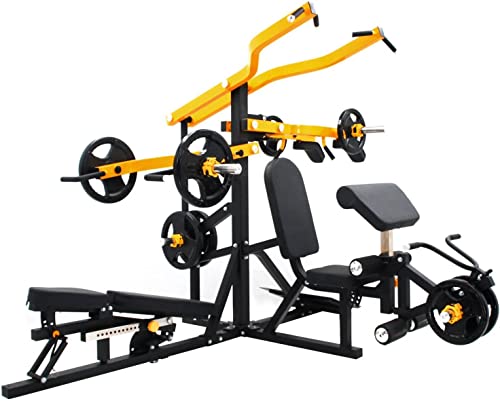 French Fitness FL100 Freeweight Leverage Gym System