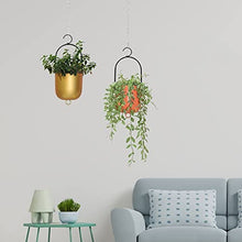 WANGKENSU Hanging Planter Indoor Plant Hanging Planter Pot Modern Flower Pot Home Decor Hanging Plant Planter Metal Plant Vase with Hooks Suitable for Indoor and Outdoor Plants (Color : 1) (1)