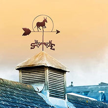 Donkey Roofs Weathervane Iron Art Decor, Creative Animal Wind Vane Wind Direction Indicator for Outdoor Yard Lawns Gardens Backyards Sheds Ornament Measuring Tool