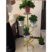DTTLYQF Iron Living Room Plant Rack Office Multi-layer Flower Stand Decoration(E)