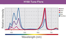 Kessil H160 Tuna Flora LED Refugium Grow Light