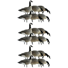Avian-X Lessers 6 Piece Fusion Goose Decoy Set Multicolor