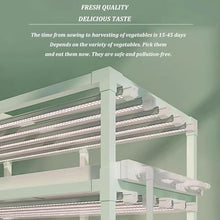 FLTRGO Hydroponic Growing Kits & Systems,hydroponics Growing Tower,hydroponics Indoor Garden,Indoor herb Garden,Garden Hydroponic Growing System,for Herbs, Fruits and Vegetables.