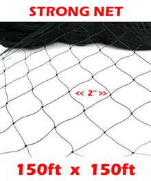 XXX-Large Strong All Season 150' x 150' Net Netting for Bird Poultry Aviary Game Pens New 2" Square Mesh Size (150ft x 150ft)