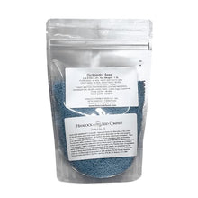 Hancock Seed Co. Dichondra Seeds, 50 lbs.