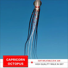 TiffyDance Super Large Octopus Kite 26m