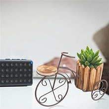 SIDUFHAOPKLL Plant Stand Rustic Bicycle Flower Pot Cart Holder Basket Home Garden(D)