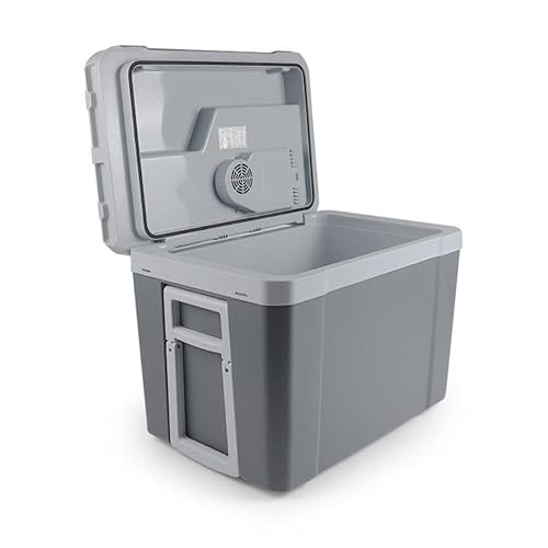 AWMGPDDBTO Mini Fridge 40L Portable Mini Fridge
