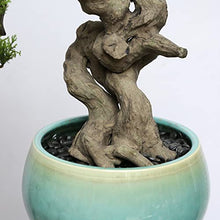 ELUKHT Simulation Potted Plants Bonsai Tree Simulation Bonsai Thuja Pine Tree Welcoming Pine Bonsai Green Plant Home (Green 55 * 40cm)