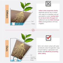 UXIPILBX Vertical Garden Wall Planter Breathable Fabric Planters Grow Bags Wall Mounted Greening Container for Indoor Outdoor Home Decoration Hanging Flower Planting Grow Bags-B