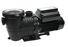 Rx Clear Mighty Niagara 1.5 HP Variable Speed I/G Pump