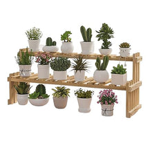 RWGOVLU Plant Stand Small Plant Stand Indoor Ladder Shelf 2 Tiers Desktop Flower Stand Window Wood Plant Trellis For Succulent Cupcake Spice Rack Countertop Flower Display Rack S
