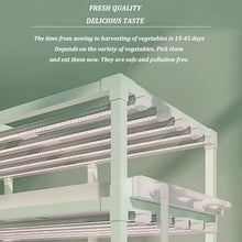 Hydroponic Growing Kits & Systems,hydroponics Growing Tower,hydroponics Indoor Garden,Indoor herb Garden,Garden Hydroponic Growing System,for Herbs, Fruits and Vegetables. (Size : Without Lights)