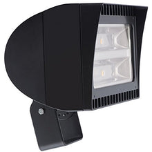 RAB Lighting FXLED78TY Flexflood 78-watt Warm Led Trunnion, Bronze